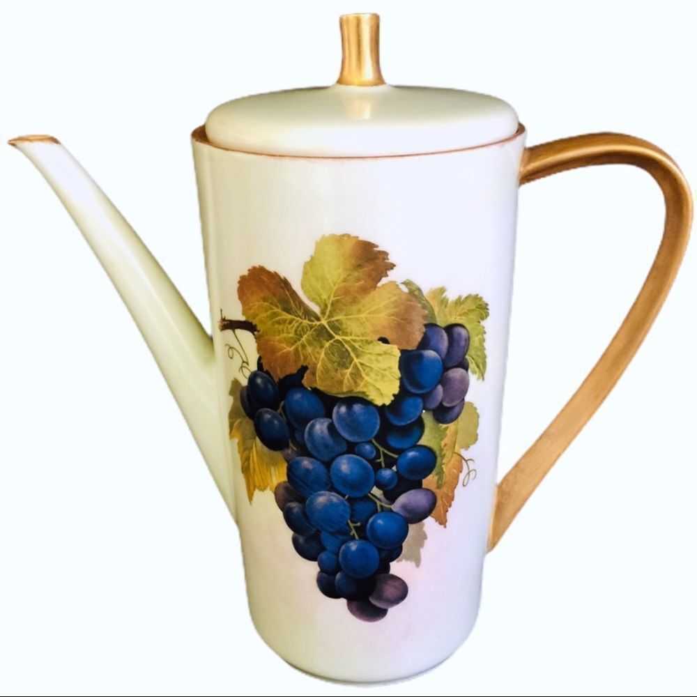 Hutschenreuther Selb Bavaria Tea Coffee Pot Floy